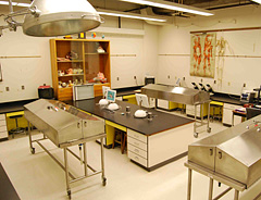 Laboratorio di cadaveri